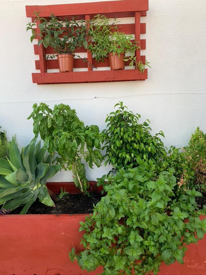 Appartement Atico La Ilusion Con Parking à Sanlúcar de Barrameda Extérieur photo
