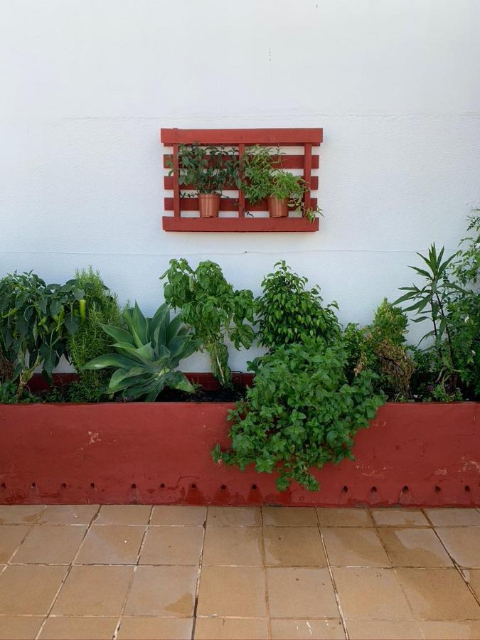 Appartement Atico La Ilusion Con Parking à Sanlúcar de Barrameda Extérieur photo